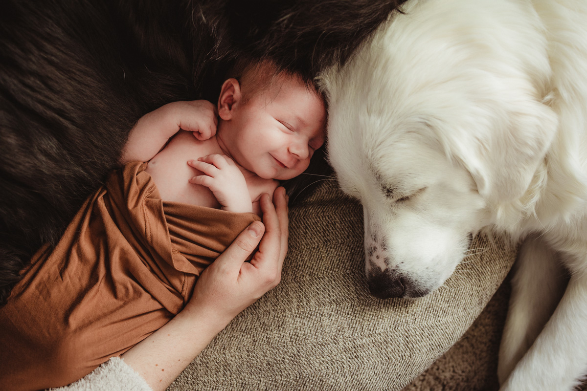 Newborn with dog great pyrenees
