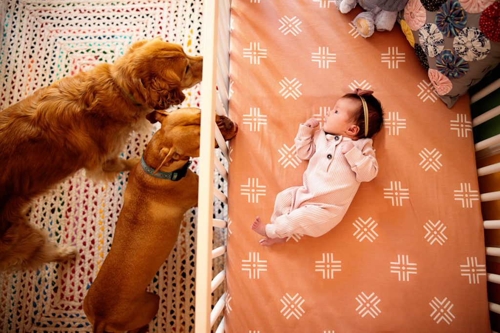 Newborn Photography · North Liberty, Coralville, Iowa City, and Cedar Rapids, Iowa · Baby Photographer Newborn Photography