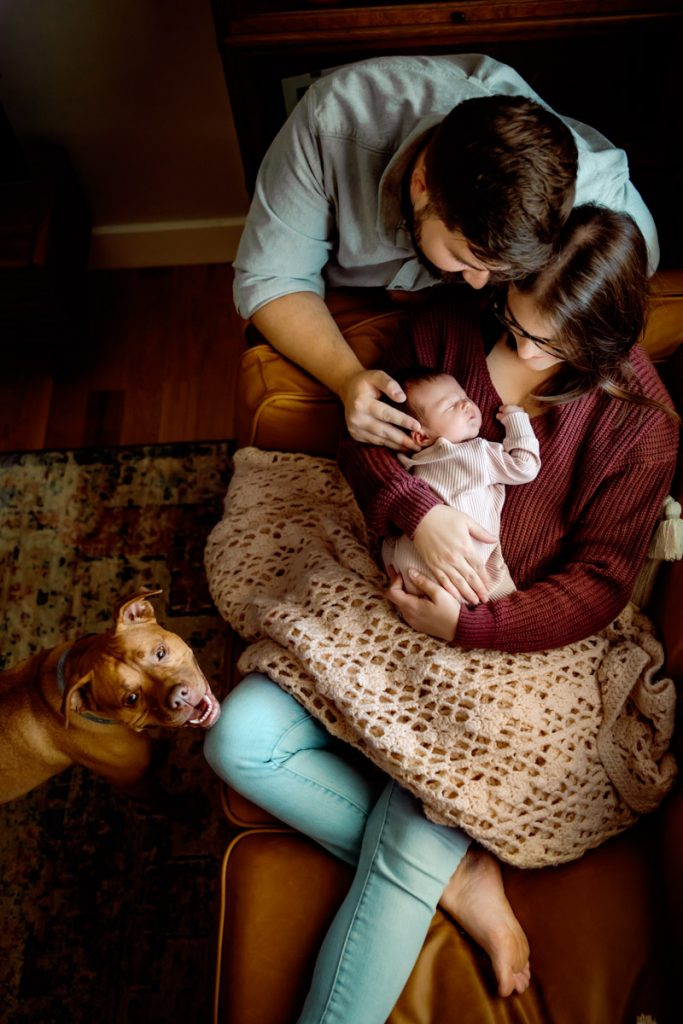 Newborn Photography · North Liberty, Coralville, Iowa City, and Cedar Rapids, Iowa · Baby Photographer Newborn Photography