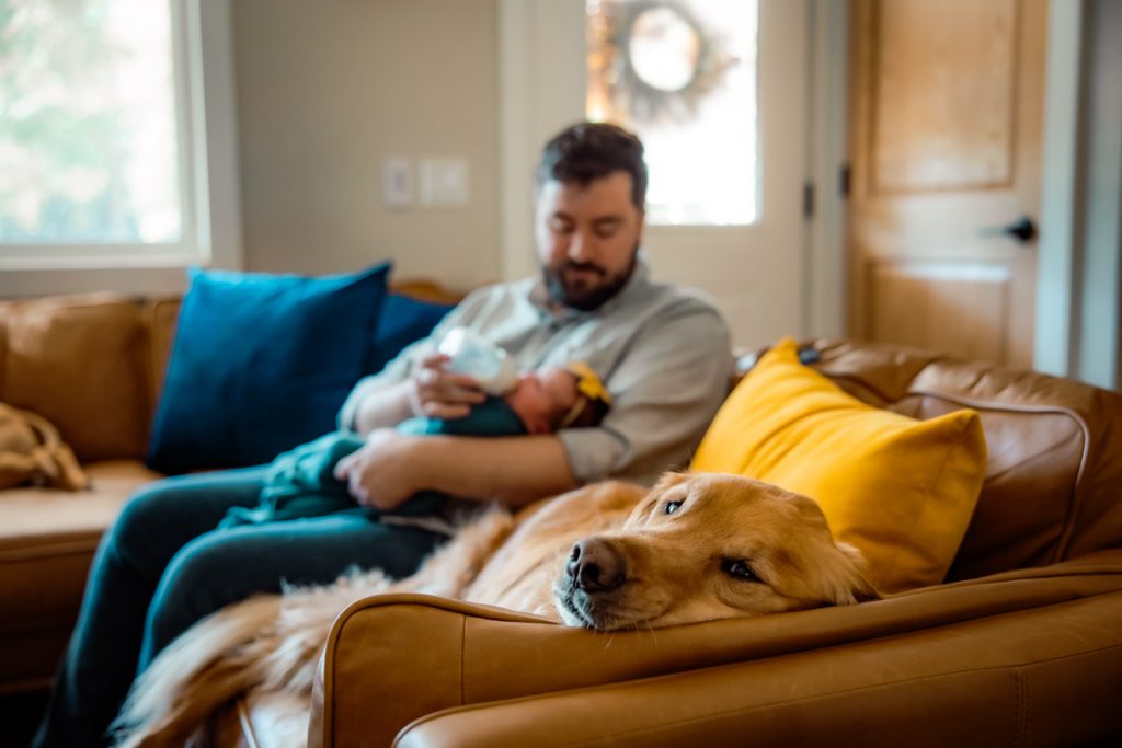 Dad feeding baby while dog watches